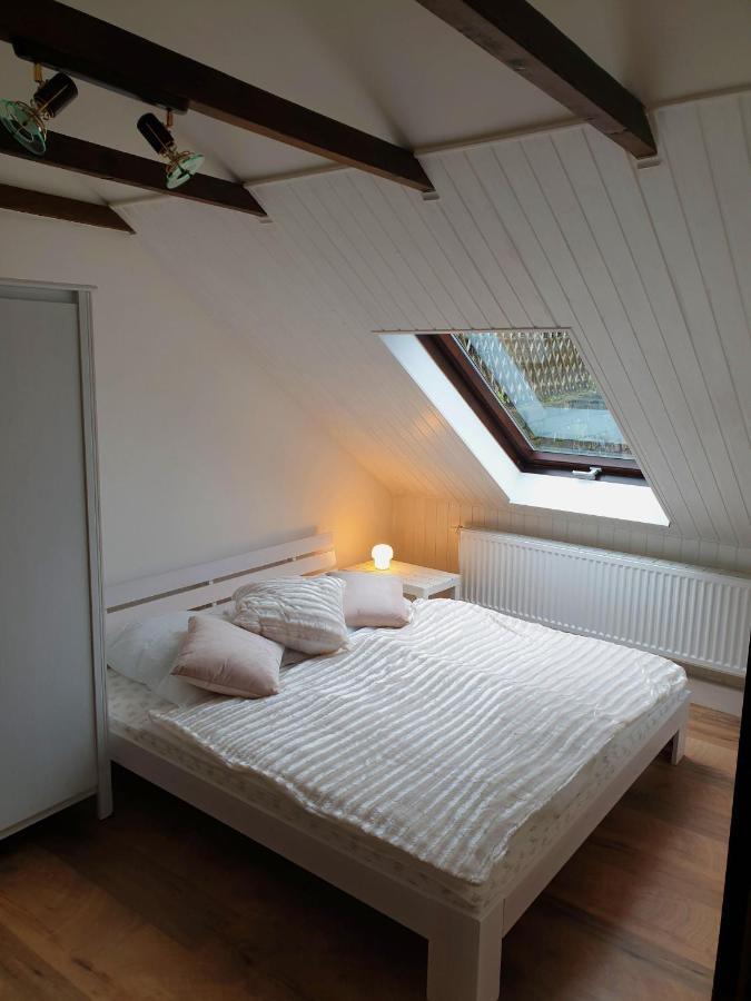 Saechsische-Schweiz-Ferienhaus-Wohnung-1-Mit-Elbblick-Sauna-Und-Kamin Кьонихщайн ан дер Елбе Екстериор снимка